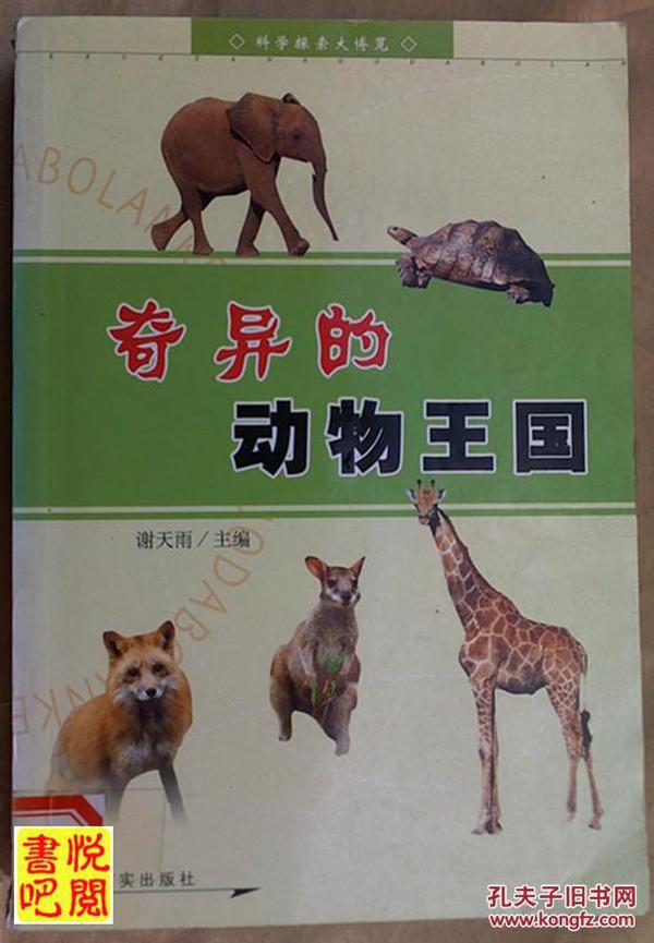 探索四不像的奇妙世界，从322294的视角