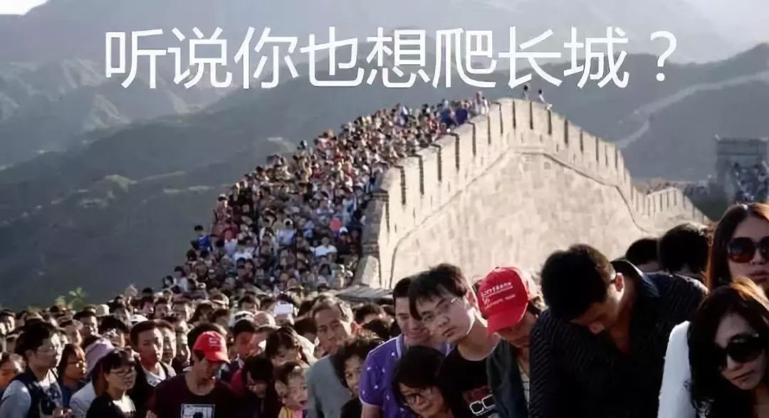 成功案例 第260页