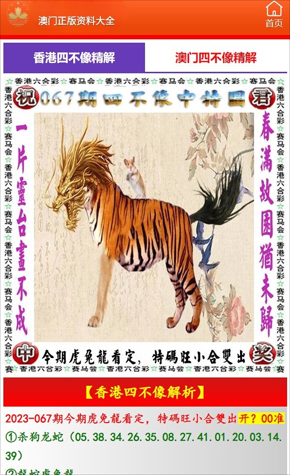 澳门跑狗图，2019年回顾与解析