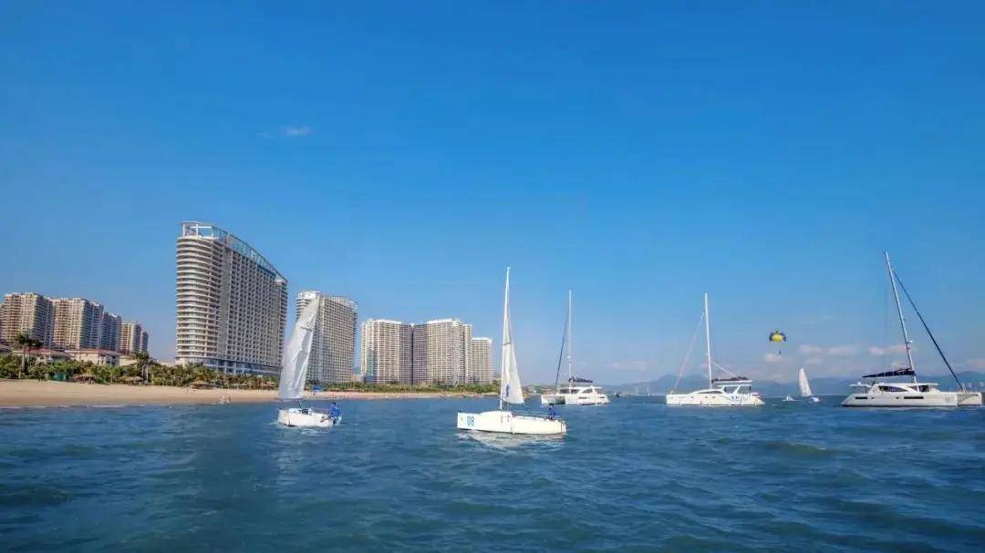 2025新澳资料大全，免费下载与深度解析
