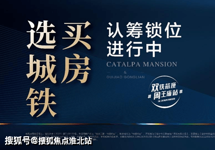 944CC精选料，解锁品质生活的秘密钥匙