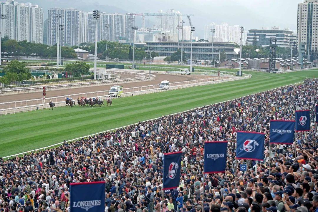 探索香港马会开奖结果直播的魅力与影响