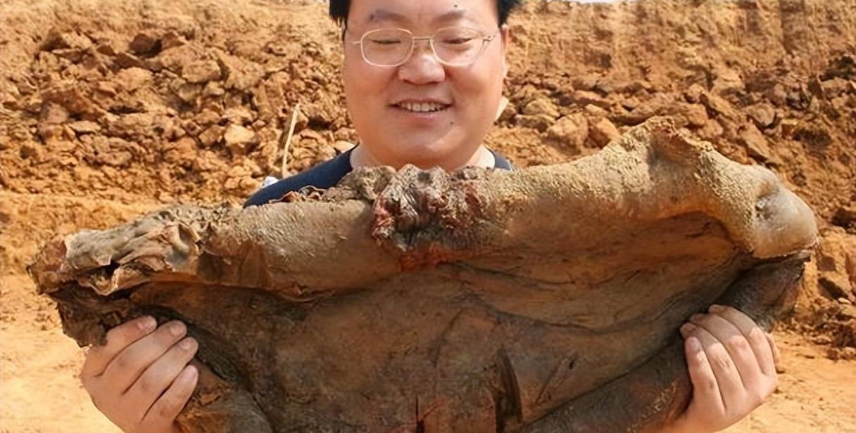今晚9点30，揭秘生肖之谜