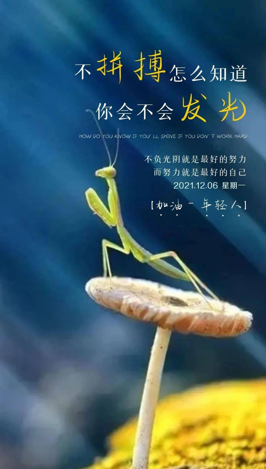 2025新澳资料大全，解锁未来商业与生活的钥匙
