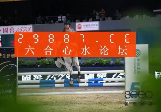 四肖选一 第2页