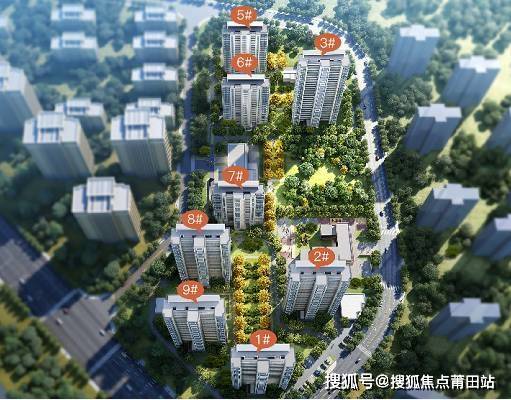成功案例 第246页
