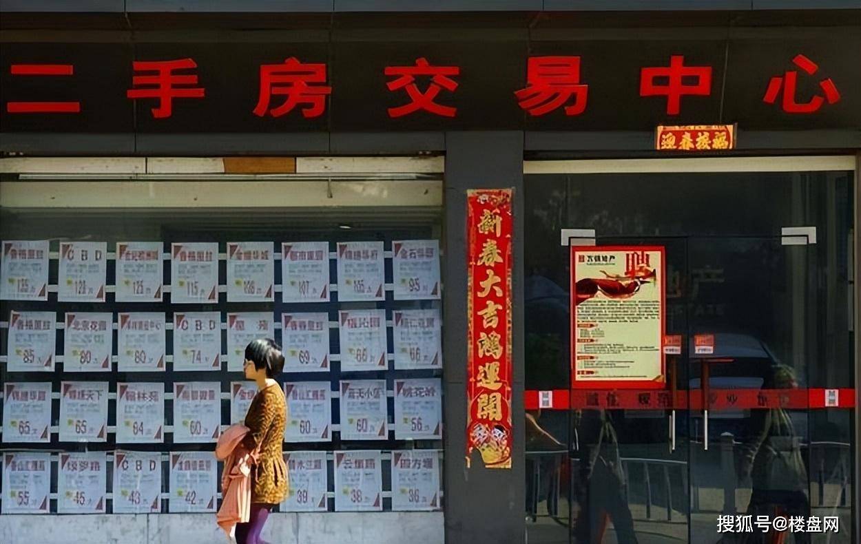 新闻动态 第247页