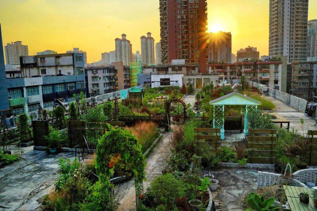 皇家花园