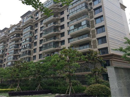 新闻动态 第236页