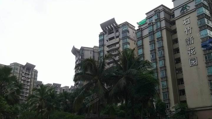 城市自然秘境