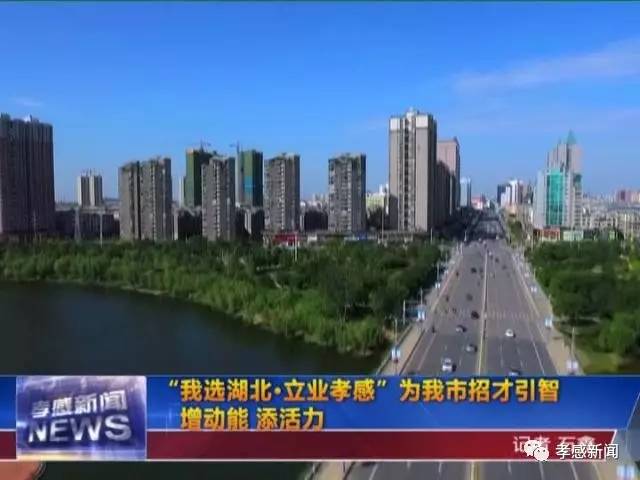 人才招聘 第229页