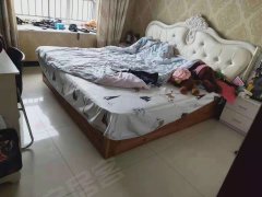 探索成都新华公园旁的二手房魅力，历史与现代的完美融合