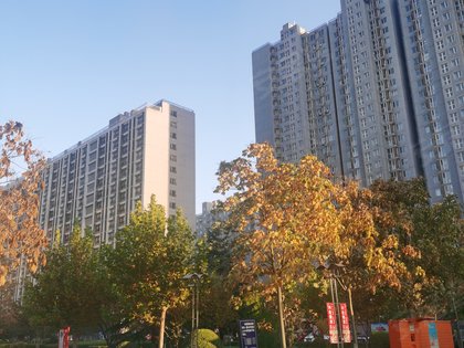 探秘上上城五期，房价背后的故事与趋势