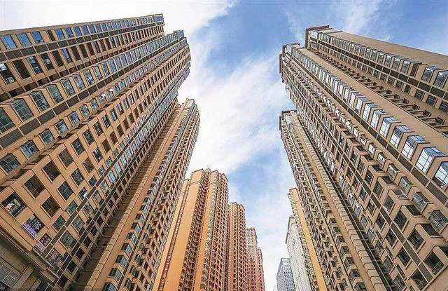 城市绿洲
