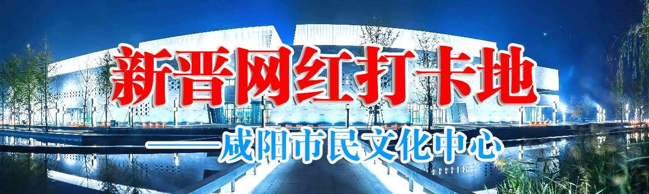 探秘双色球2020084，数字背后的幸运与希望