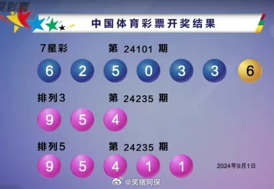 今日排列3开奖结果查询指南，揭秘中奖秘籍与技巧