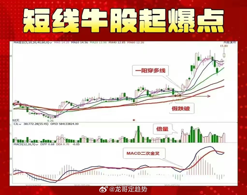 超级大走势图，洞悉市场脉动，把握投资先机