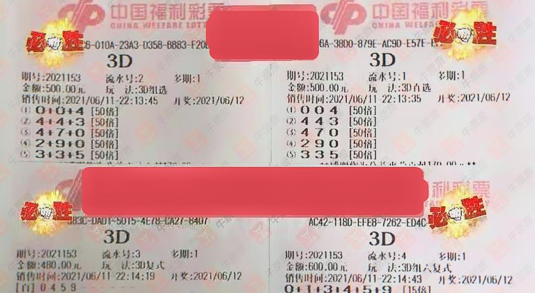 福彩3D贴吧论坛，彩民的智慧交流平台