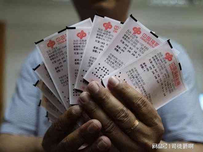 精算独胆，老道跟买，彩票投注的智慧与策略
