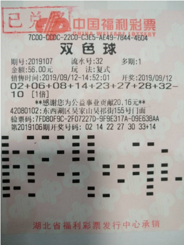 探索双色球，中国福利彩票的魅力与机遇