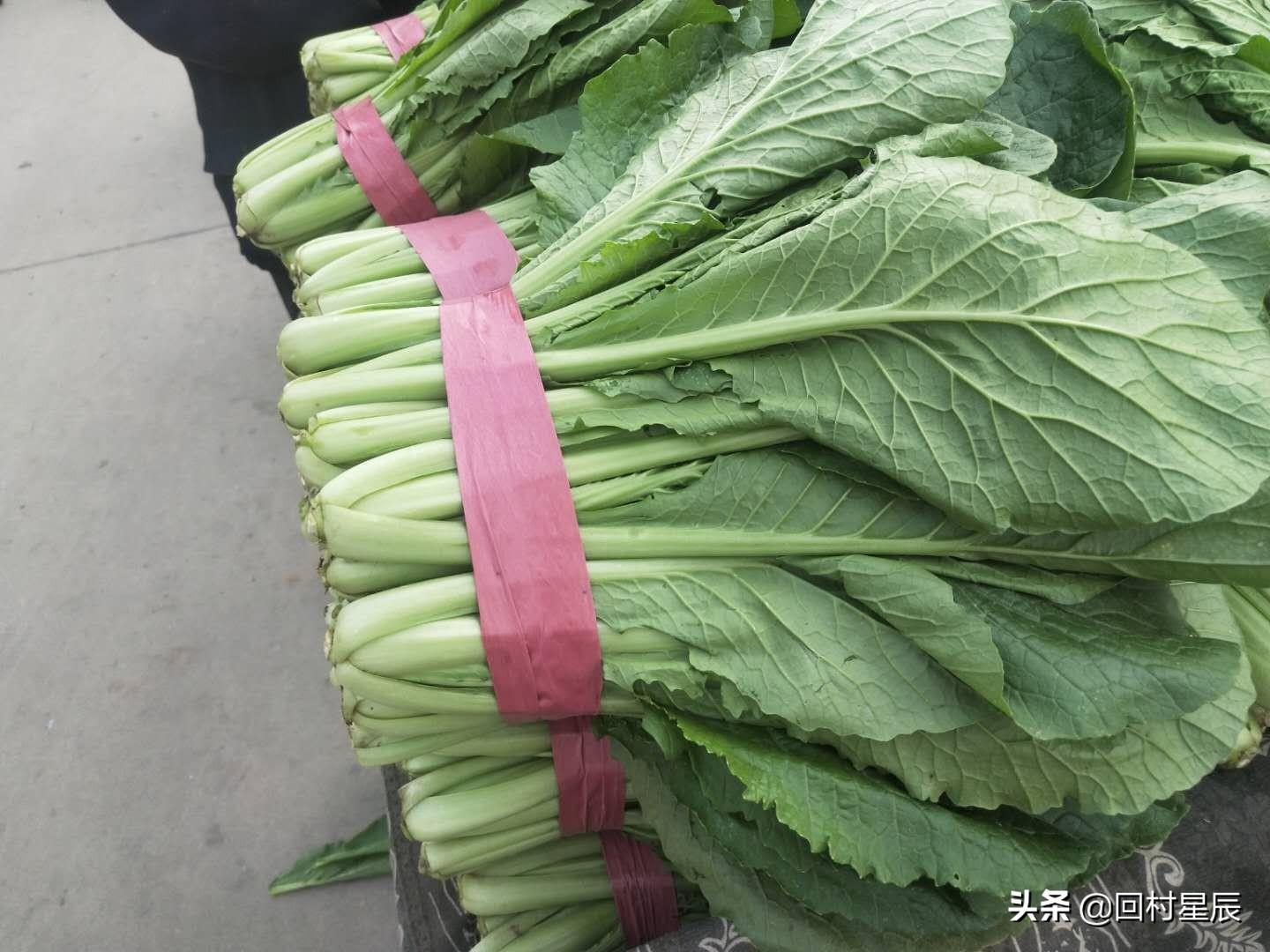 河北11选5开奖走势图，透视数字背后的奥秘