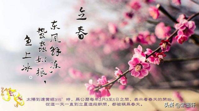 左岸春风，一语断蓝，解密传统谜语的文化魅力