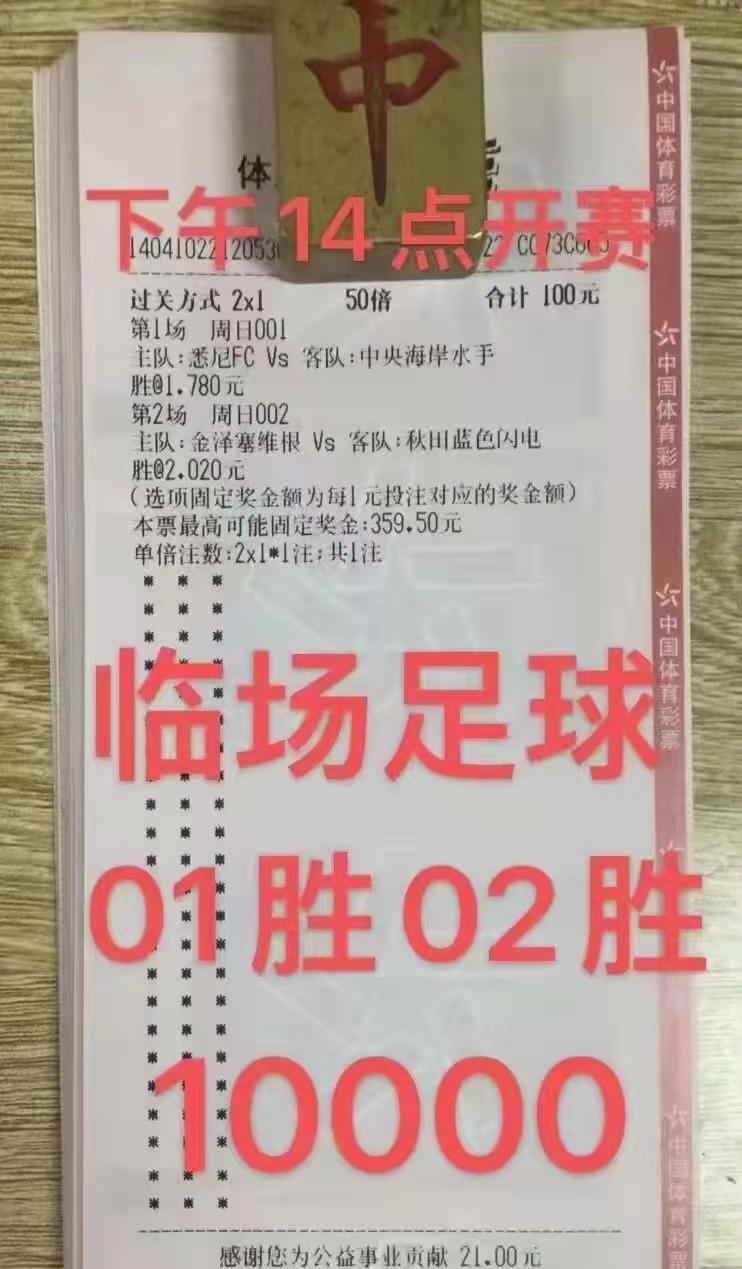 探索双色球50000期走势图表，揭秘数字背后的秘密