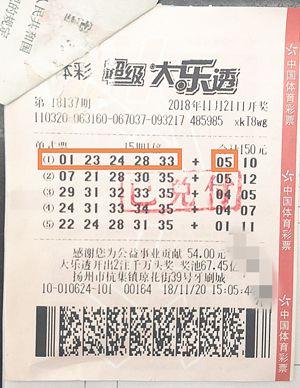 2031年香港马会内部免费资料，揭秘与解读香港内部马料免费资料下载