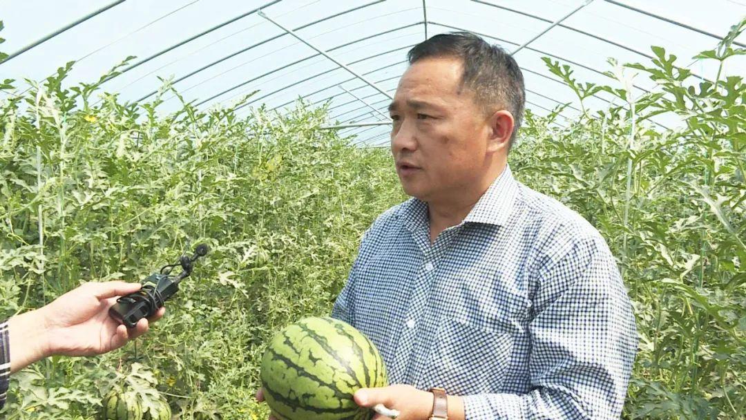 排列五近期开奖数据深度解析，1000期回顾与趋势洞察