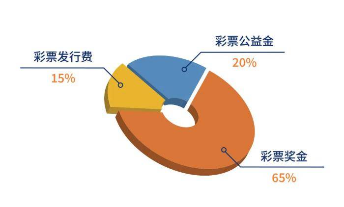 今日福彩3D开奖直播，揭秘彩票背后的数字游戏与公益力量