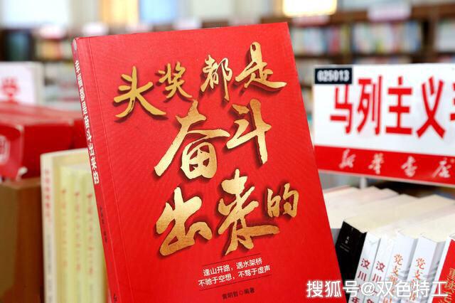 探索双色球综合图，揭秘彩票背后的数字奥秘