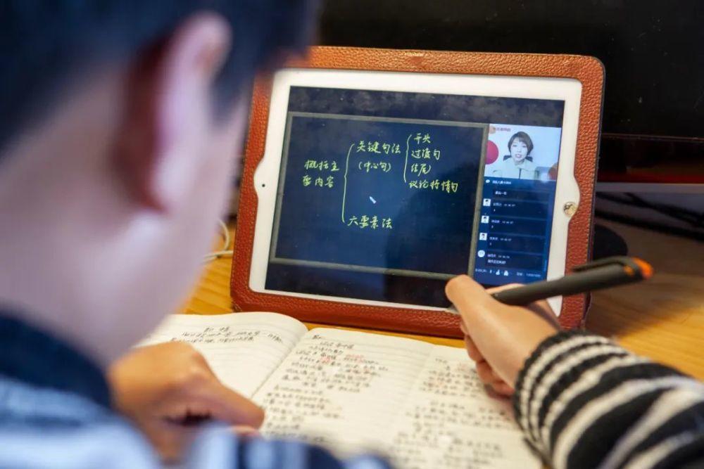 浙江3D风采走势图，探索数字背后的奥秘