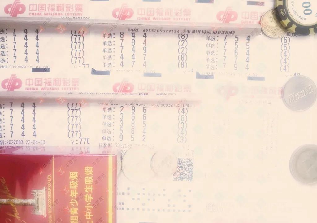 体育彩票3D中奖号码查询，揭秘数字背后的幸运之道