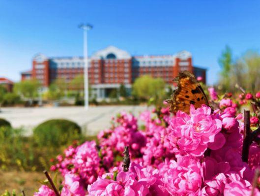 辽宁工程技术大学，铸就工程教育的辉煌篇章