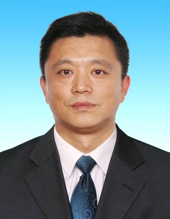2021年双色球第65期开奖号，幸运的瞬间与梦想的启航