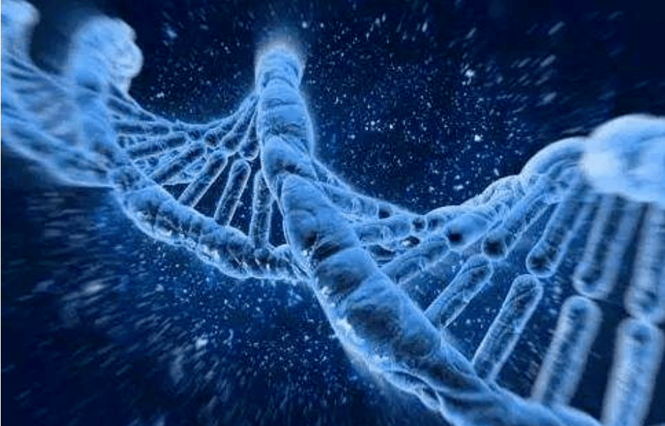 藏机图3D，解码未来之谜的数字艺术