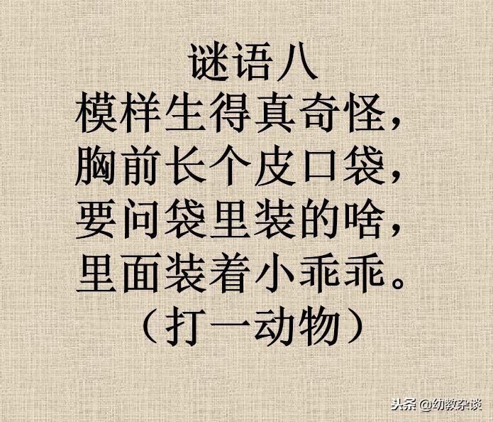 谜语大全，探寻动物世界的奇妙谜题