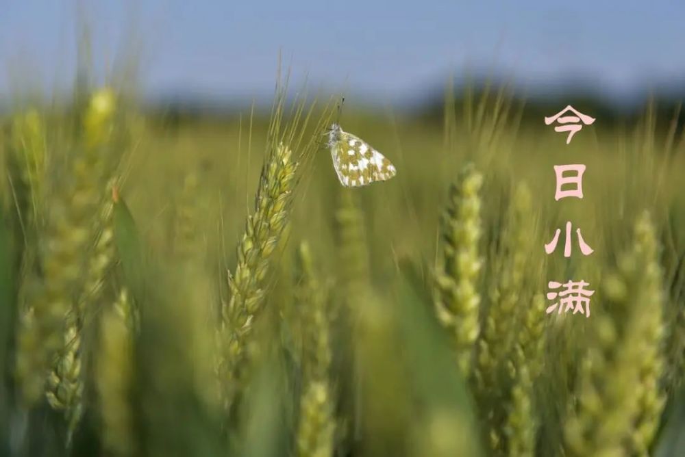 广东36选7，揭秘开奖时间点与背后的故事