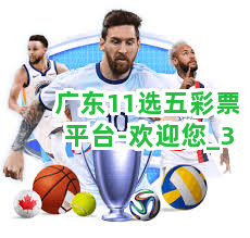 便捷与乐趣