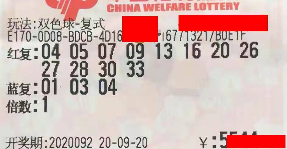 于海滨一语定胆，今天一语中的，揭秘彩票背后的智慧与机遇