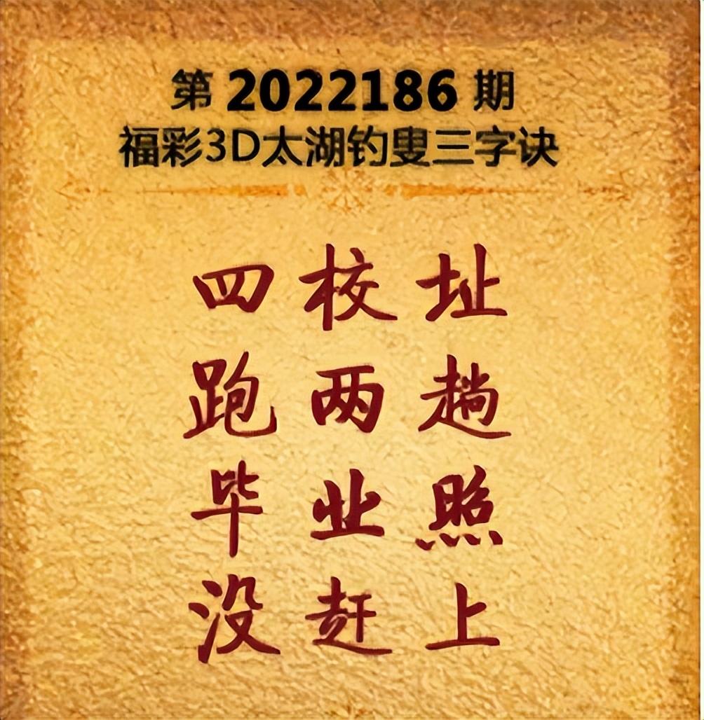 探索太湖网字谜图谜总汇大全，一场智慧与趣味的盛宴
