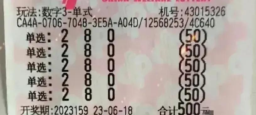 3D一定牛，今日开奖号码的奥秘与期待
