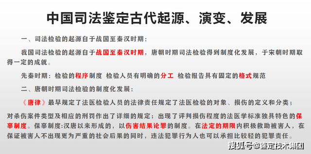 澳门202，揭秘开奖结果背后的故事与影响