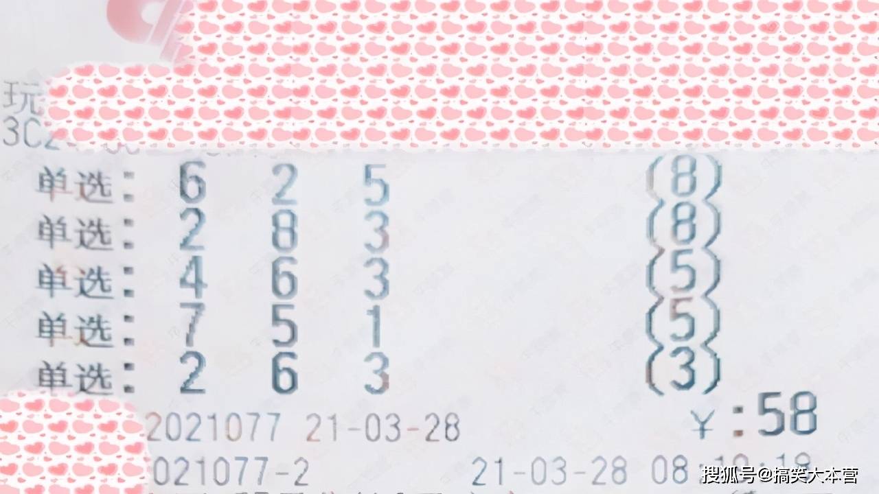 七乐彩开奖结果今天3D，探索数字背后的幸运与期待