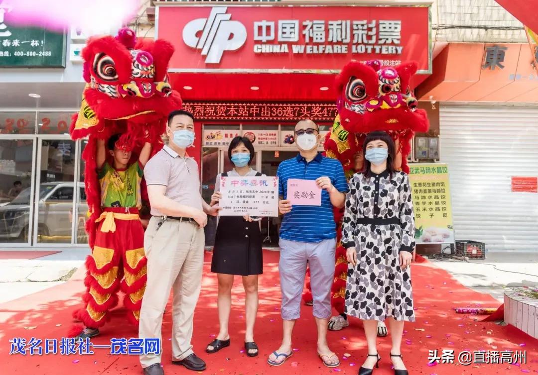 探索南粤风采36选7，最近30期开奖历史深度剖析