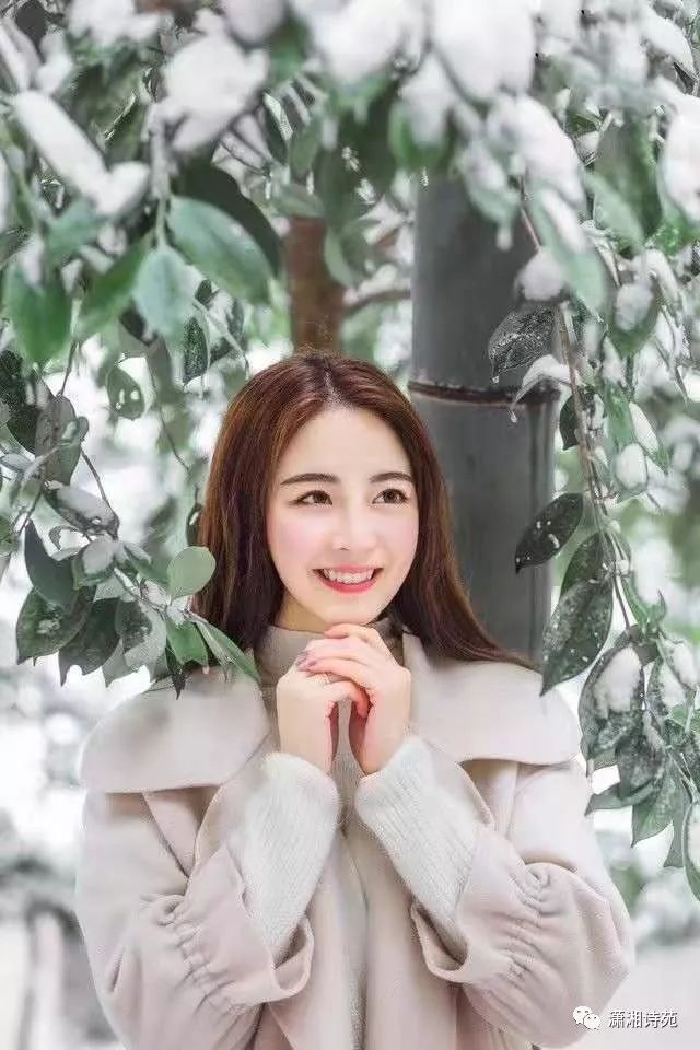 揭秘王中之王资料大全，深度剖析与特材精选王中王资料大全枓大全特2021