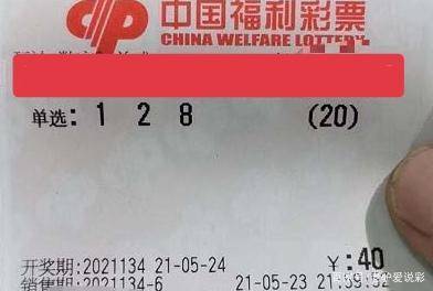 3D最精专家杀号，揭秘彩票中的科学与艺术