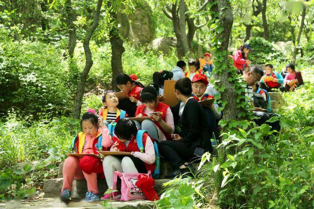 探索双色球走势，国之彩民的智慧与乐趣