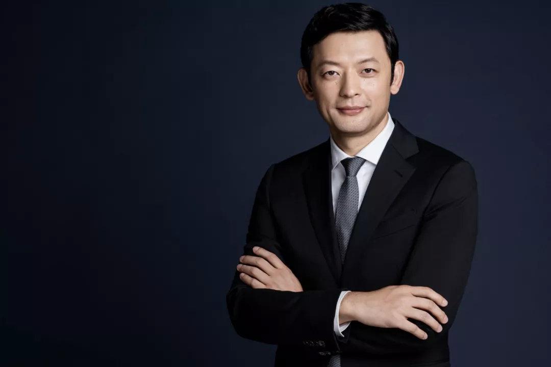 探索专业版WPS，高效办公的秘密武器