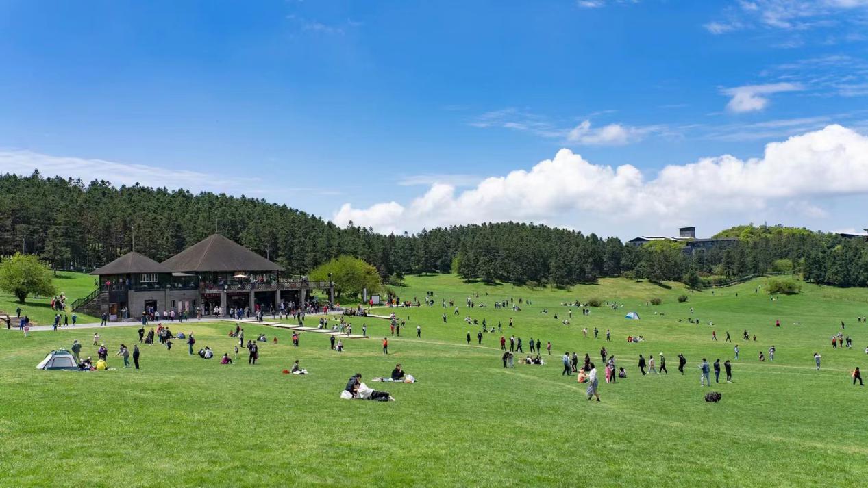 正在直播，2023年欧洲杯——足球盛宴的激情与梦想